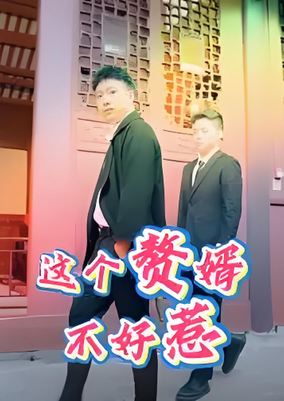 这个赘婿不好惹封面图
