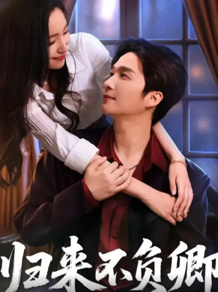 归来不负卿封面图