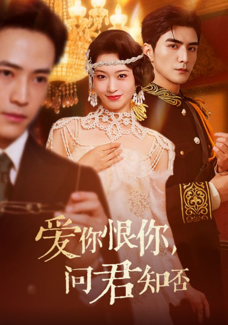 爱你恨你问君知否封面图