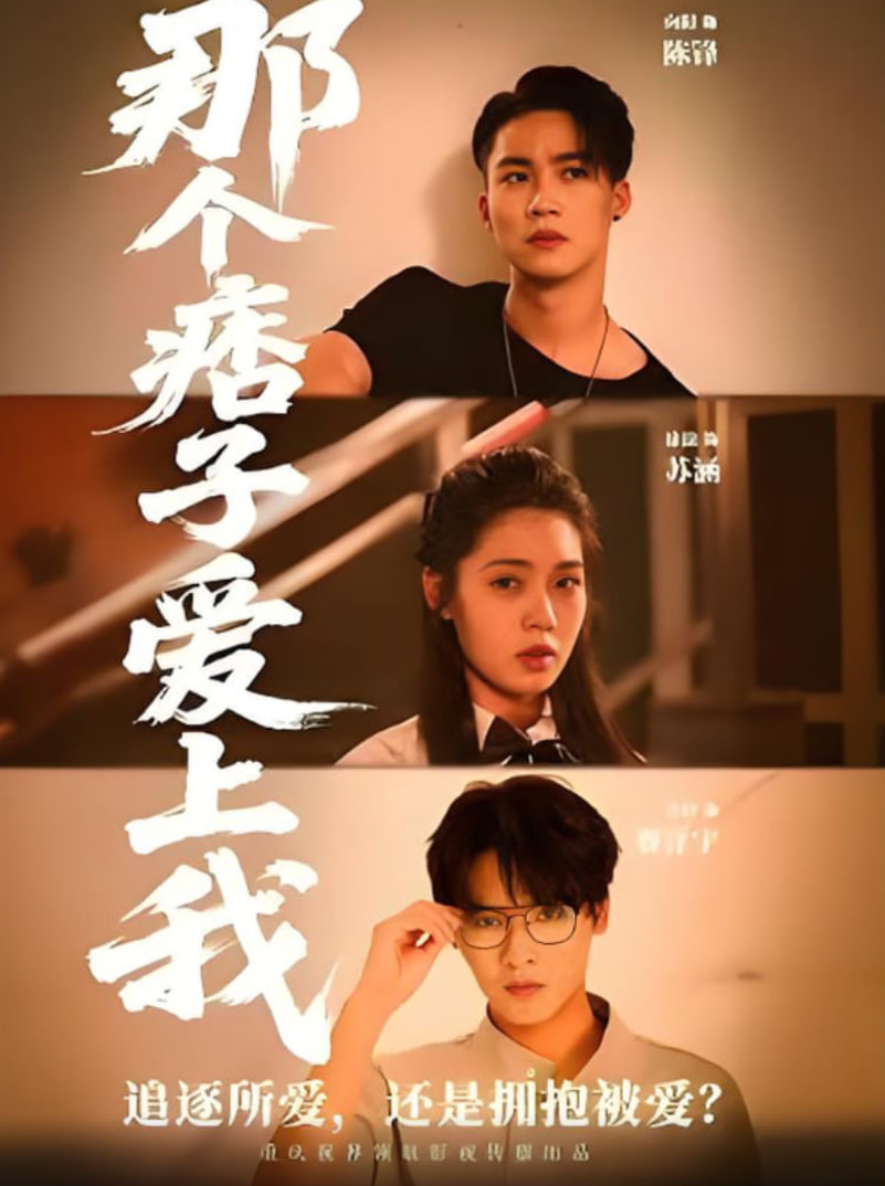 那个痞子爱上我封面图