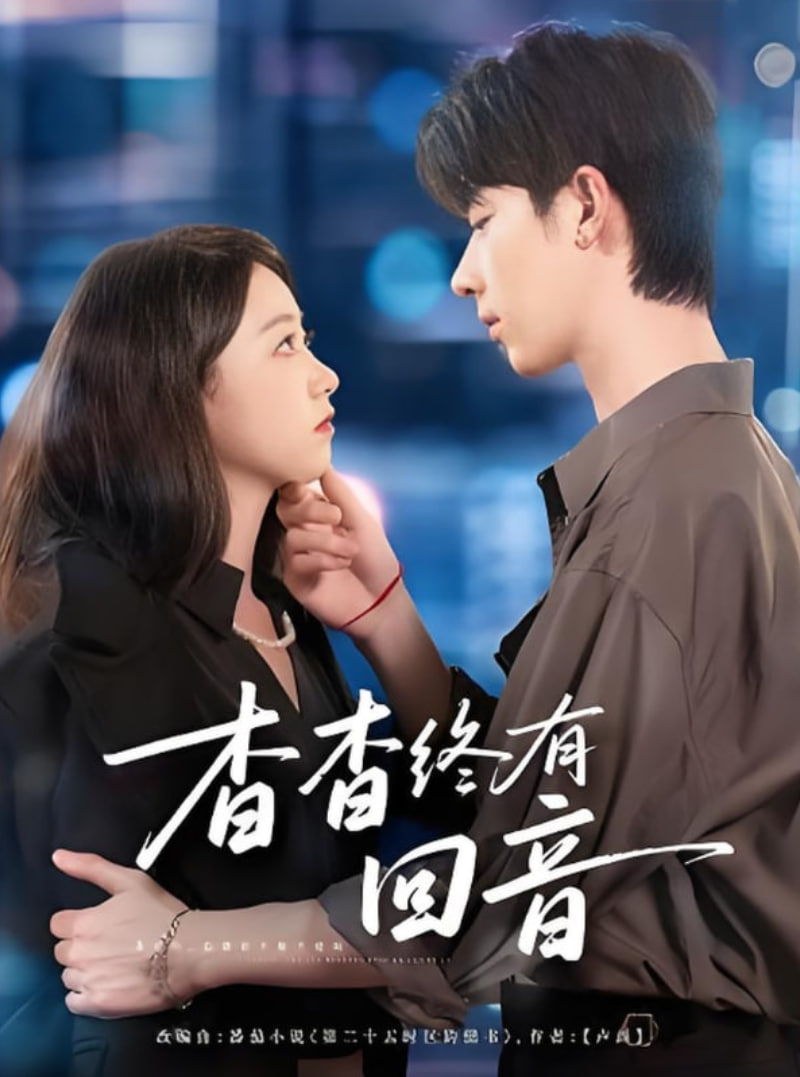 杳杳终有回音封面图