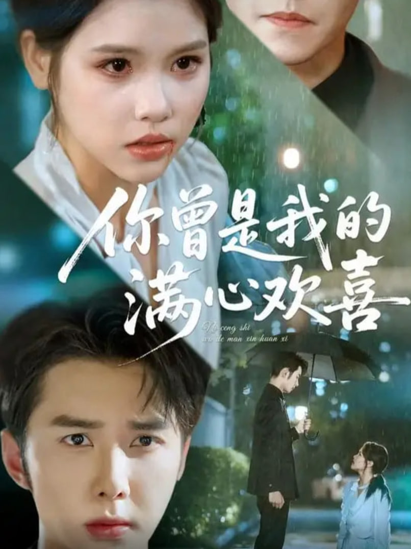 你曾是我的满心欢喜封面图