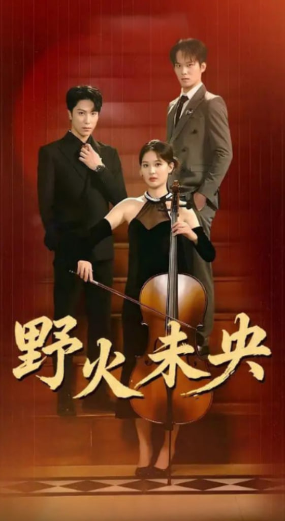 野火未央封面图
