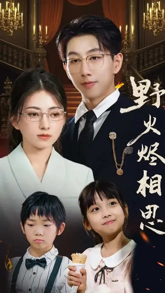 野火烬相思封面图