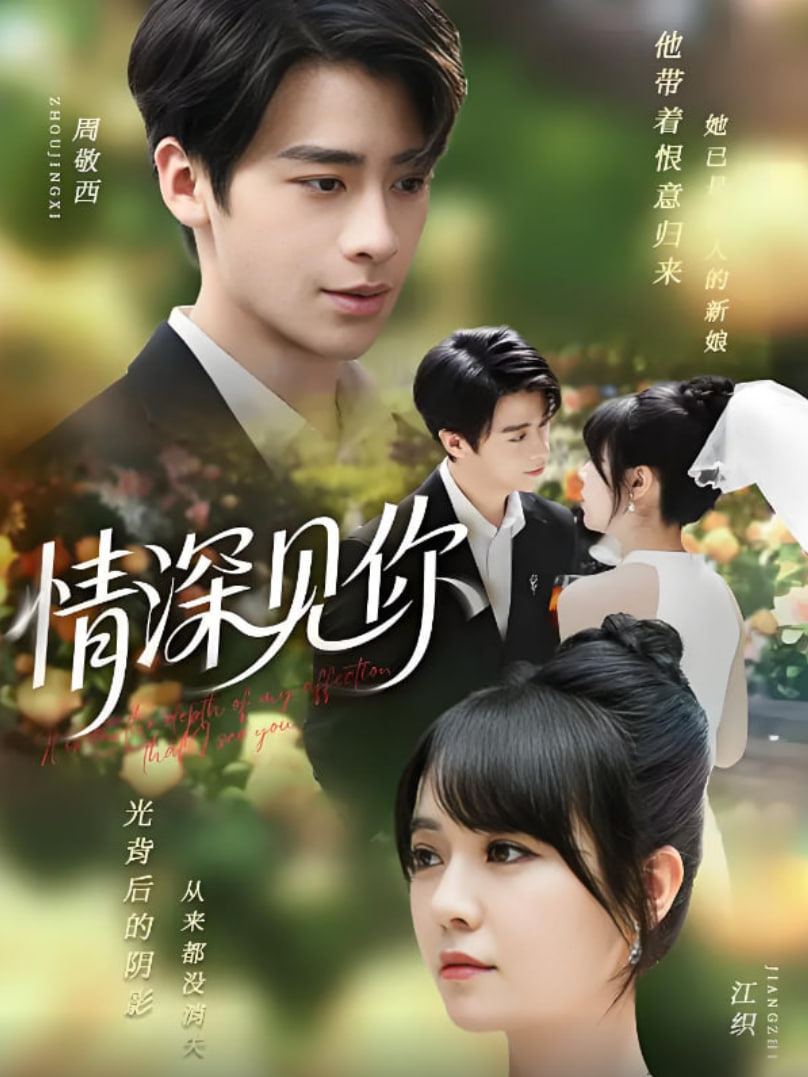 情深见你封面图
