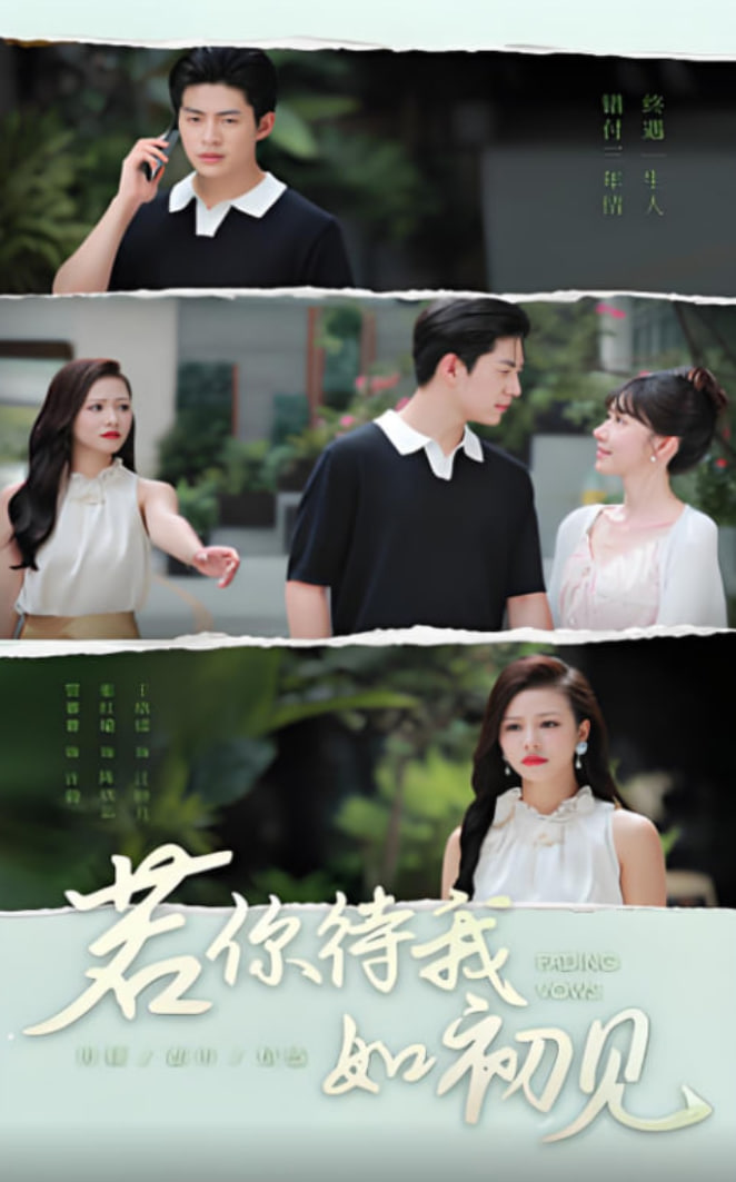 若你待我如初见封面图