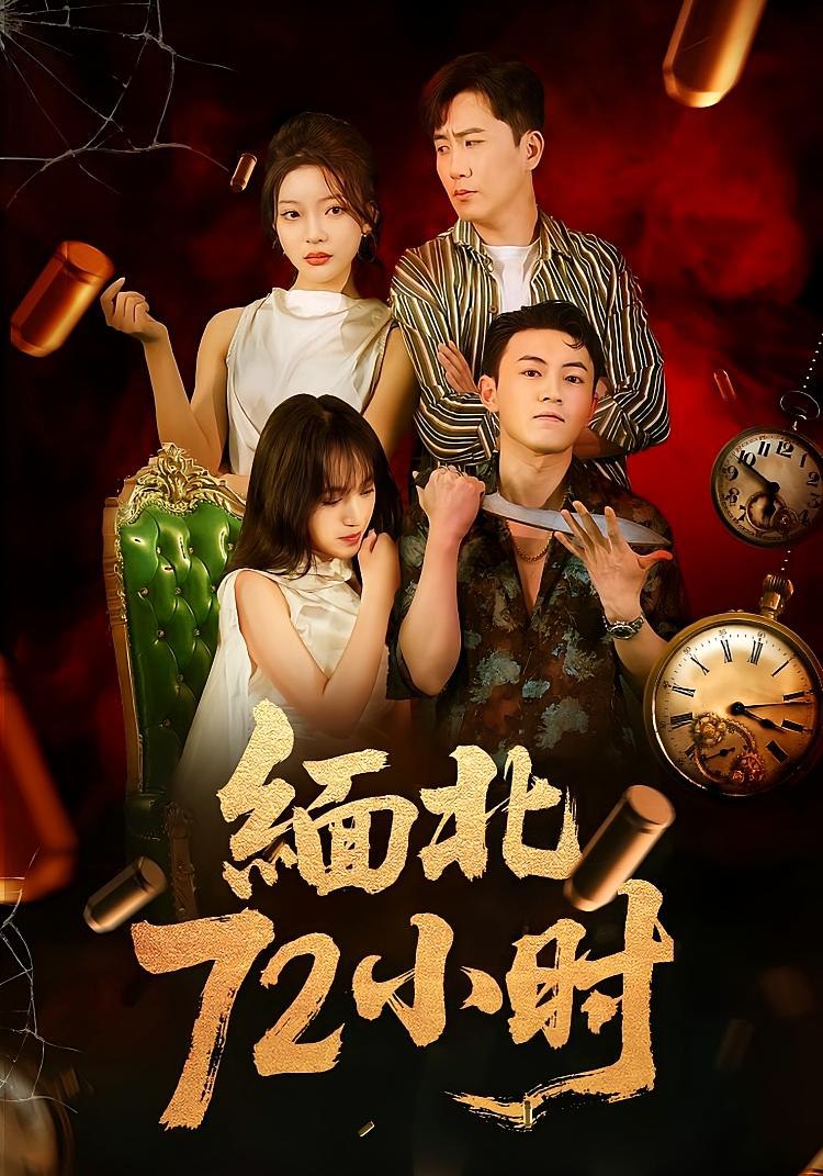 缅北72小时封面图