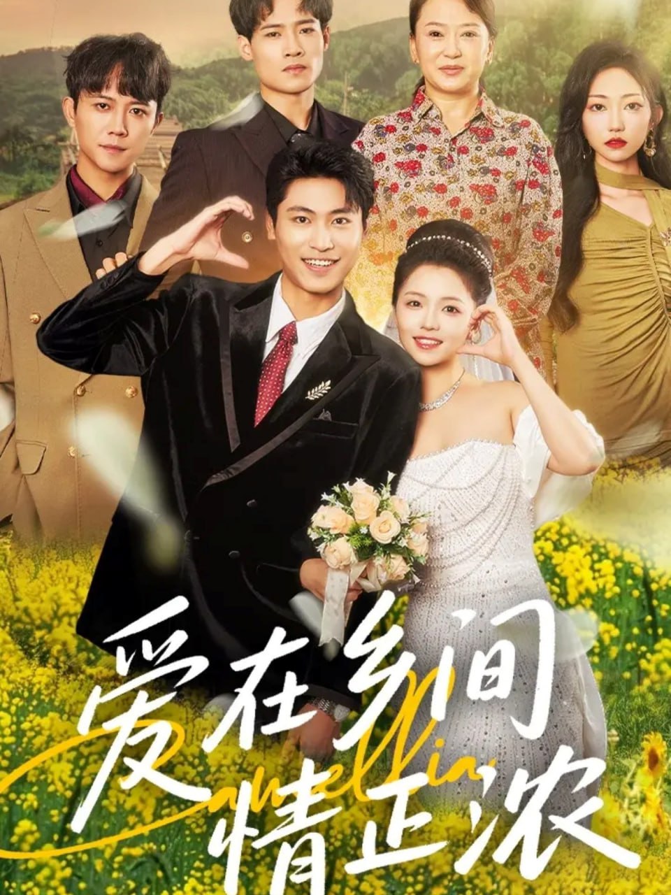 爱在乡间情正浓封面图