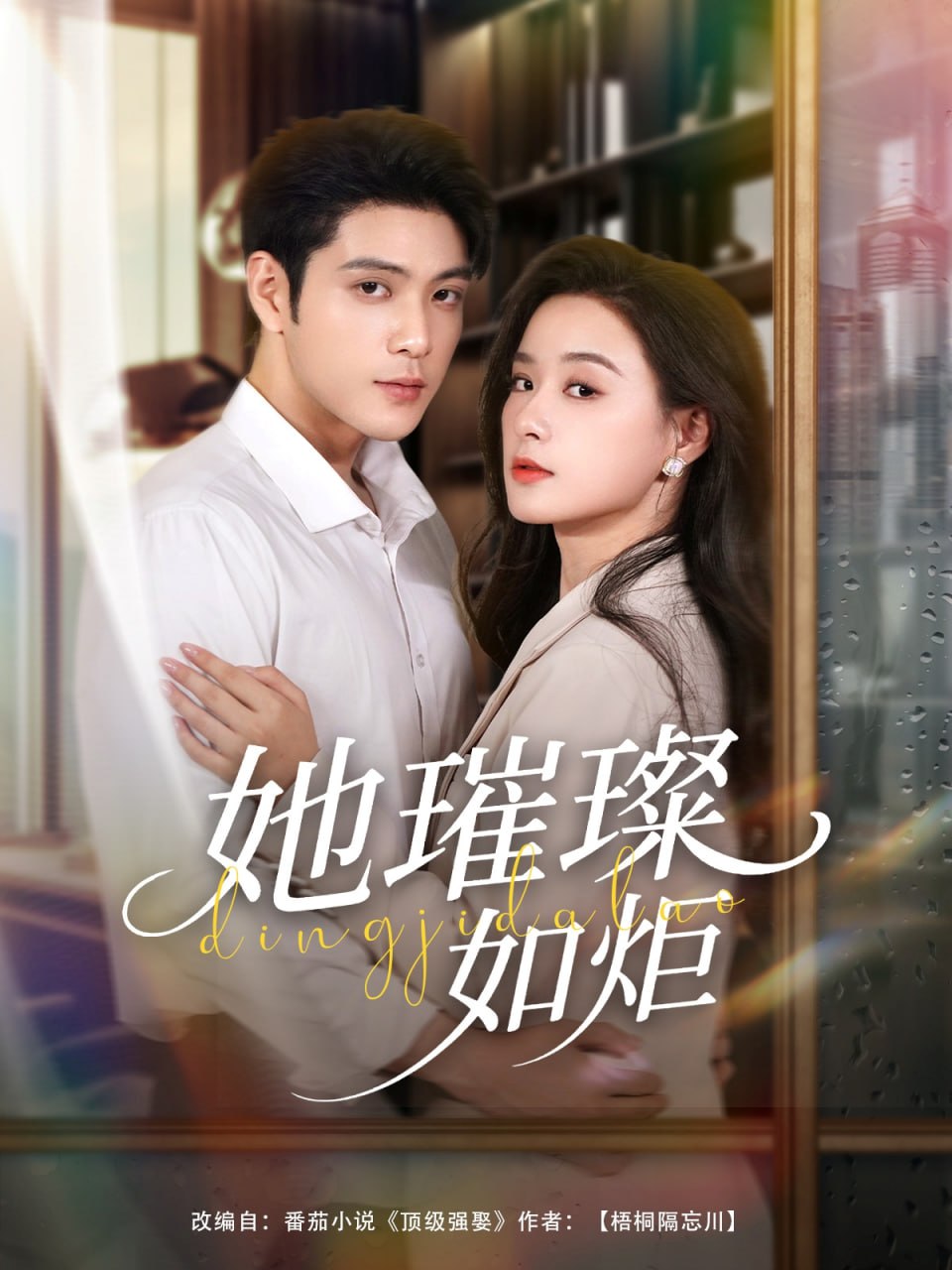 她璀璨如炬封面图