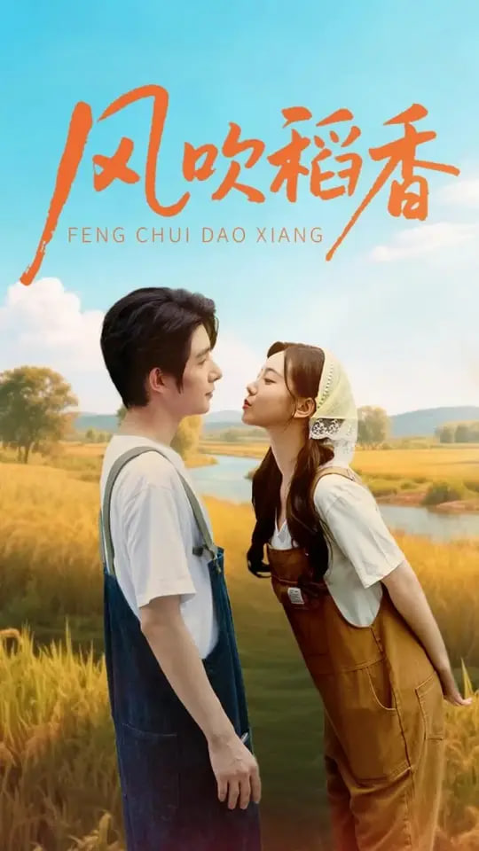 风吹稻香封面图