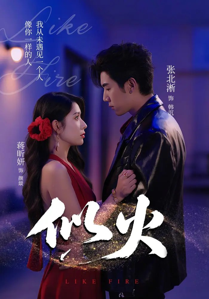 似火 2025封面图