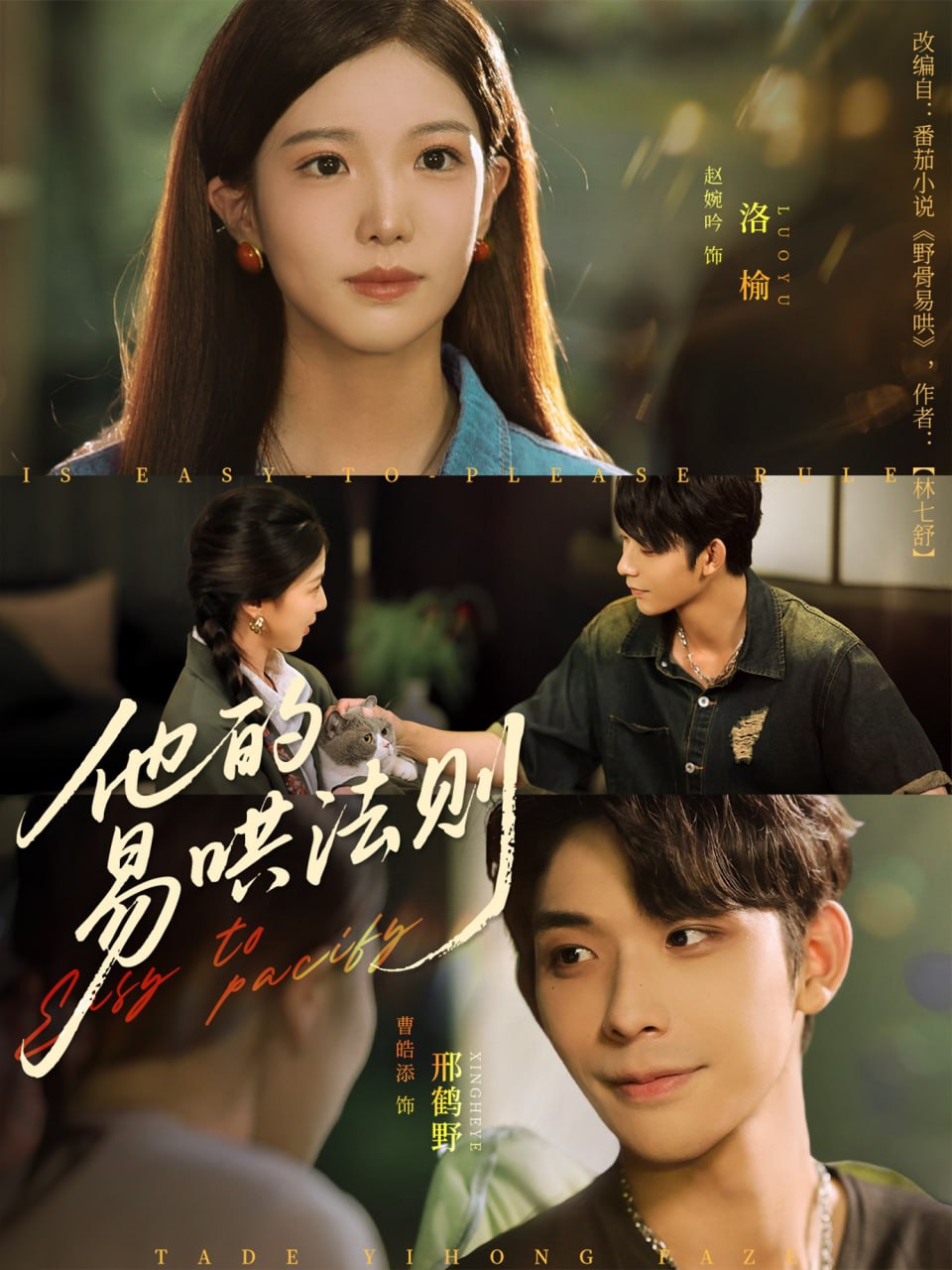 他的易哄法则封面图