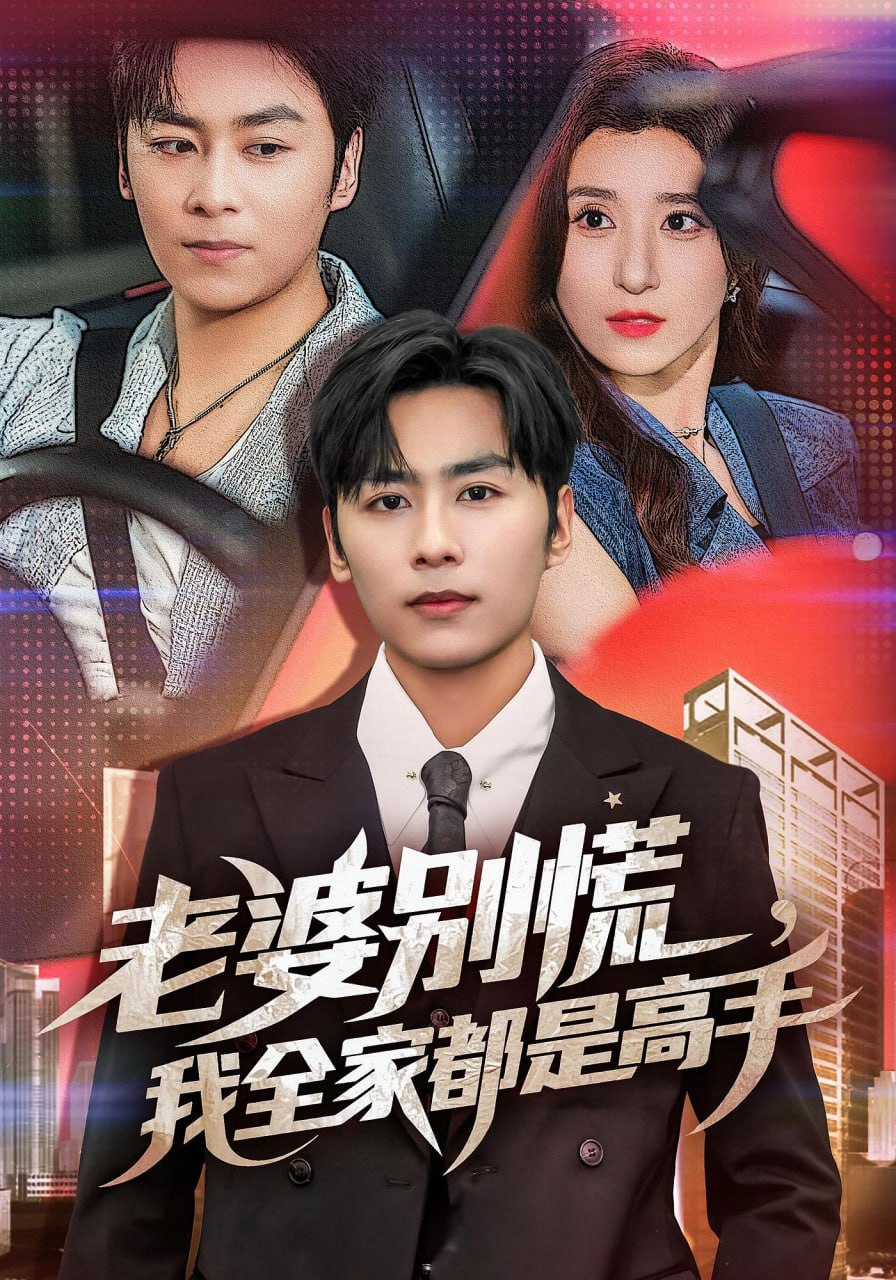 老婆别慌我全家都是高手封面图