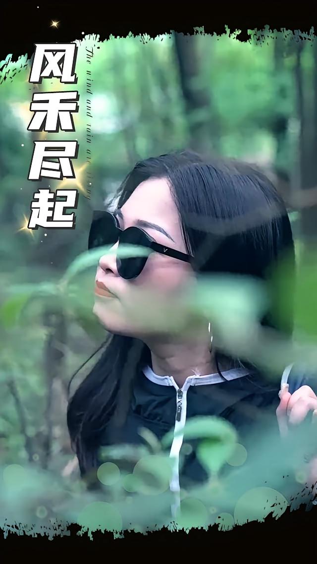 风禾尽起 2025封面图