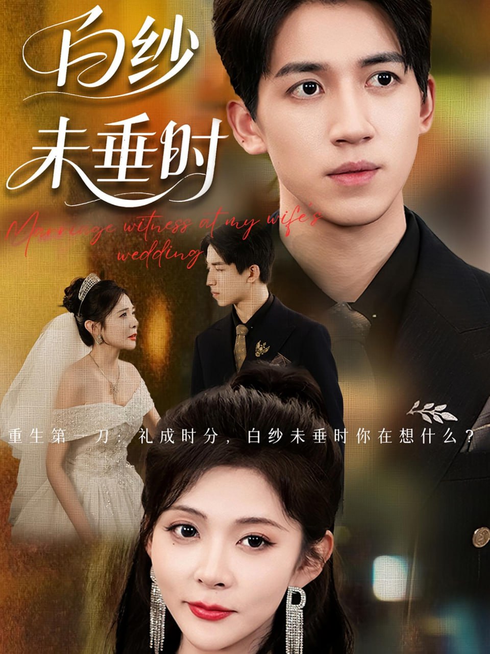 老婆婚礼我当证婚人（白纱未垂时）封面图