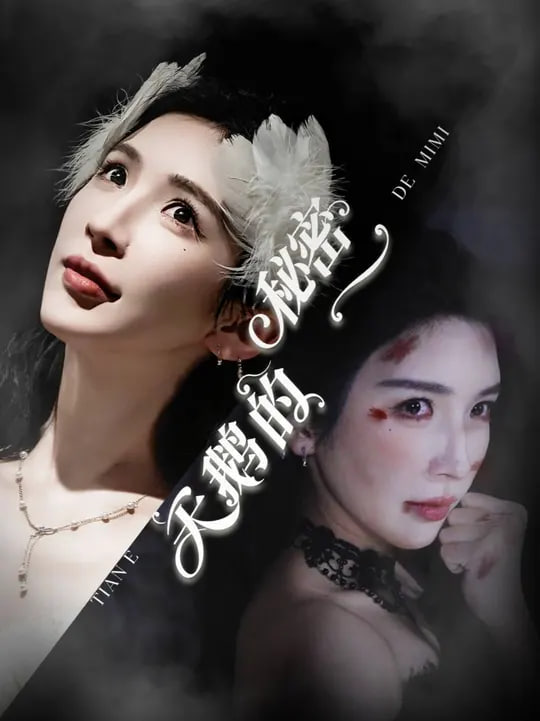 天鹅的秘密封面图