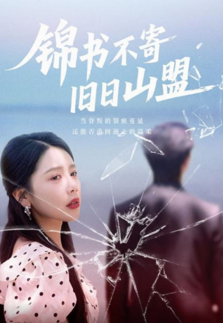 锦书不寄旧日山盟封面图