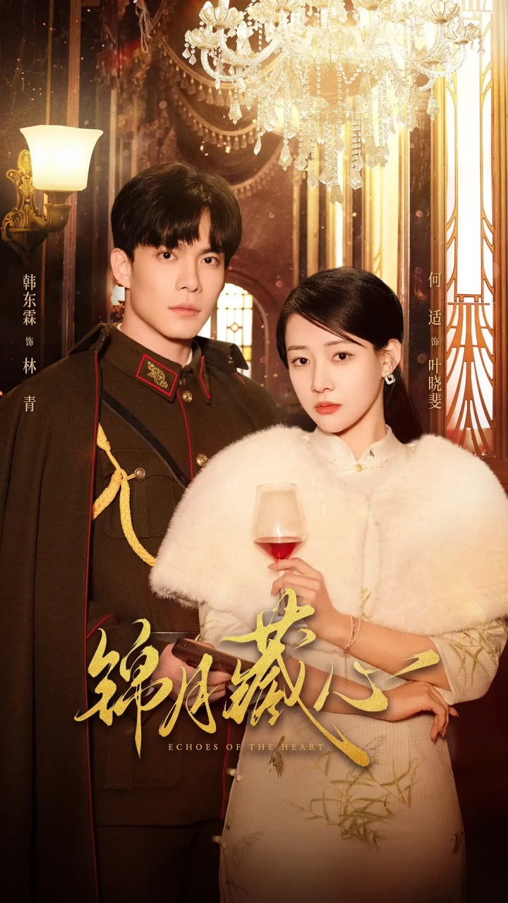 锦月藏心封面图