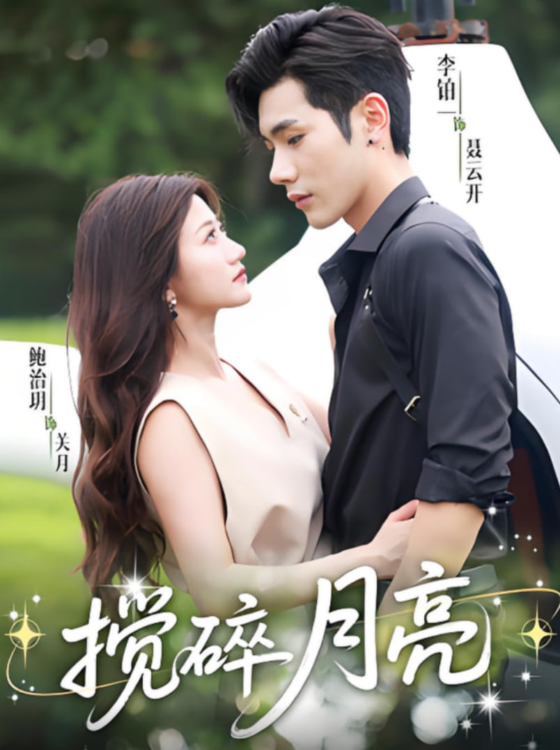 搅碎月亮（仗势欺他）封面图