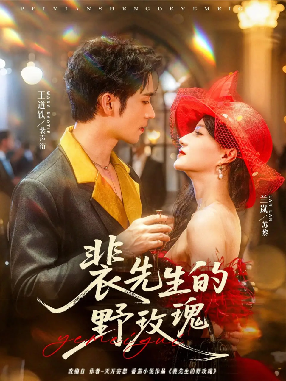 裴先生的野玫瑰封面图