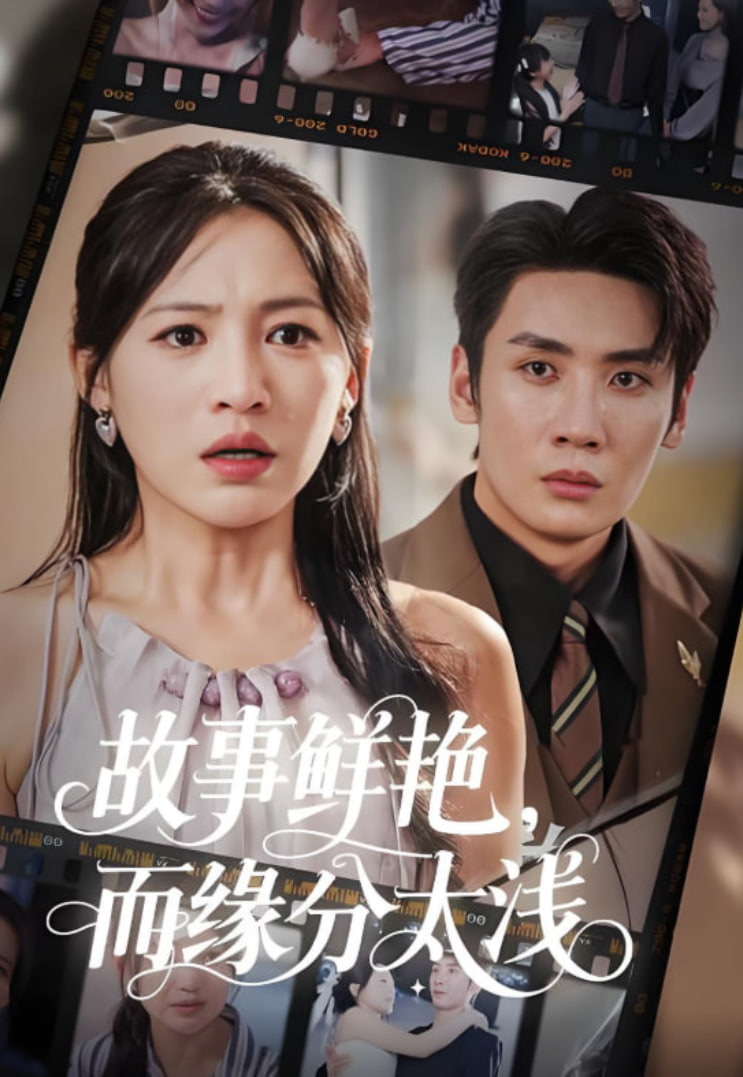 故事鲜艳而缘分太浅封面图