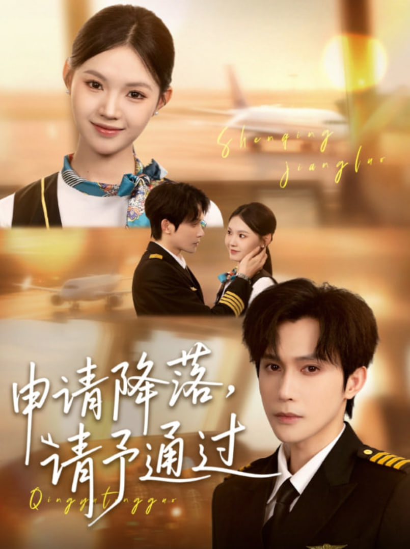 申请降落请予通过封面图