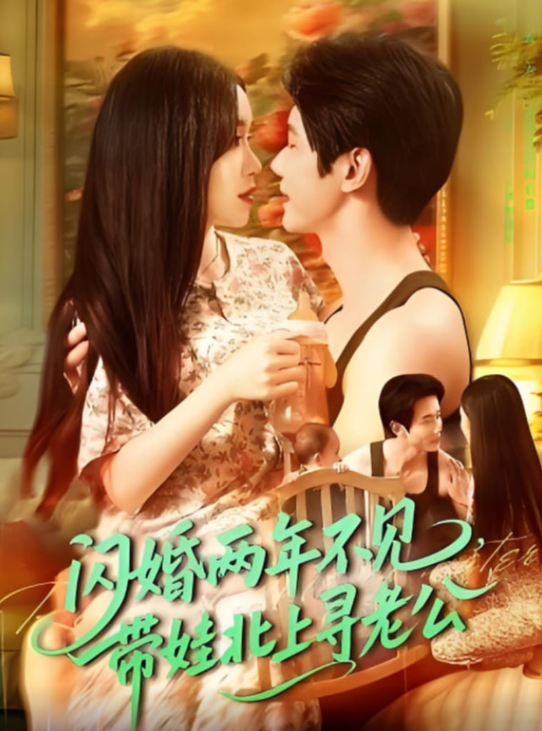闪婚两年不见带娃北上寻老公封面图