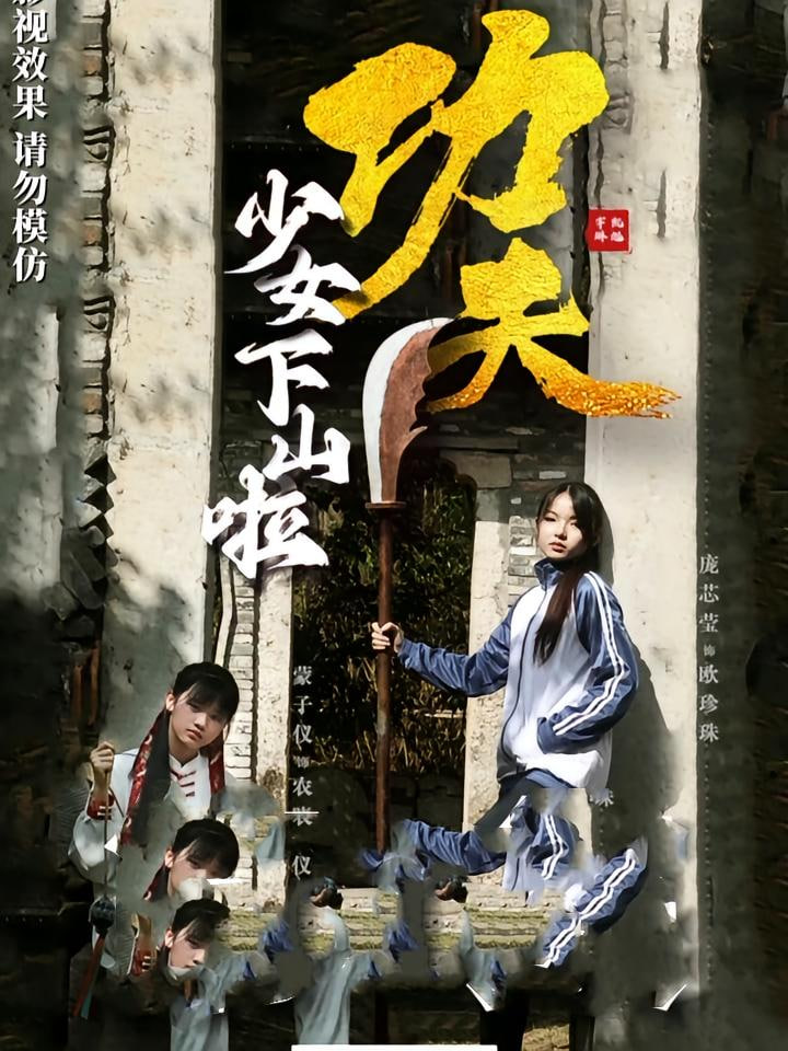功夫少女（功夫少女下山啦）封面图