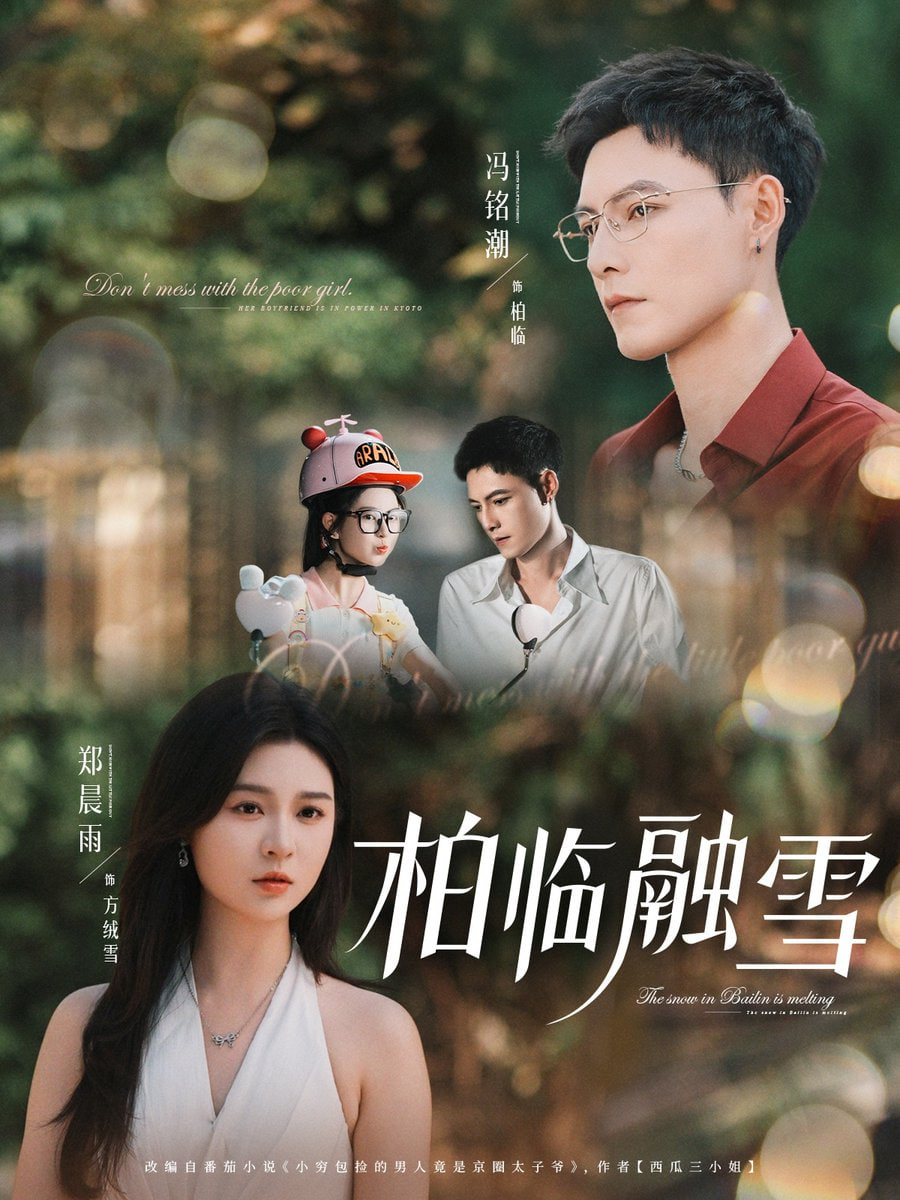 柏临融雪封面图