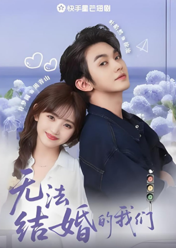 无法结婚的我们封面图