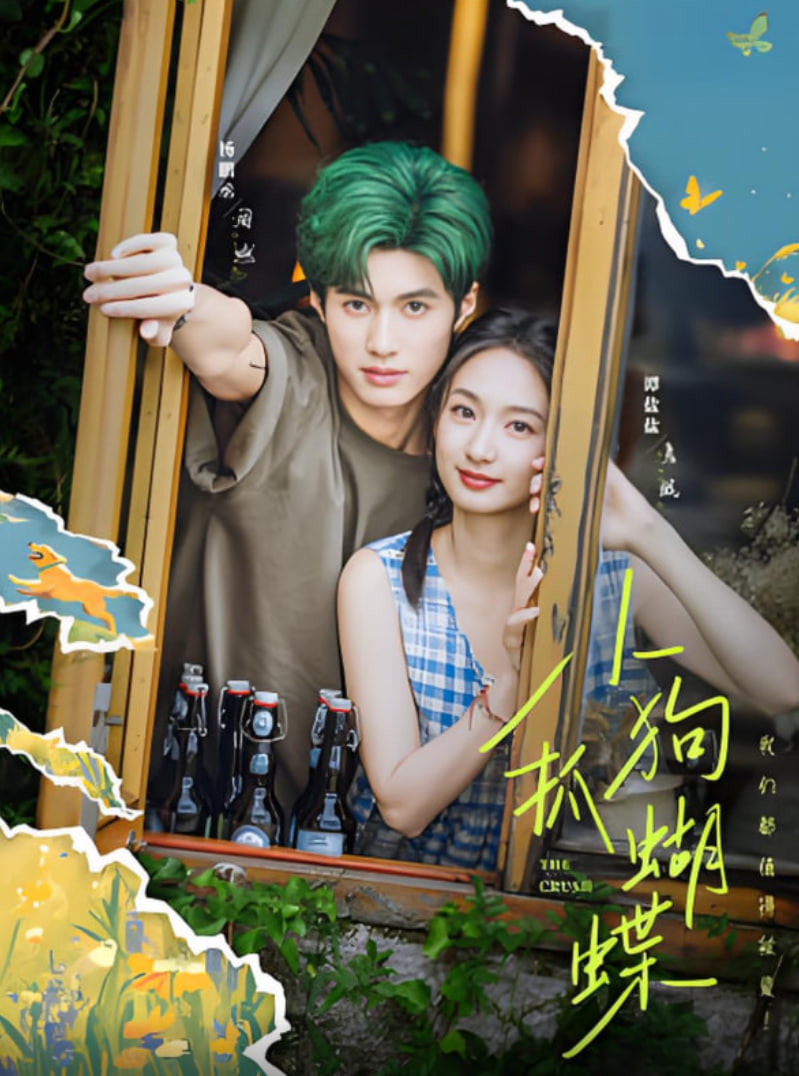 小狗抓蝴蝶封面图