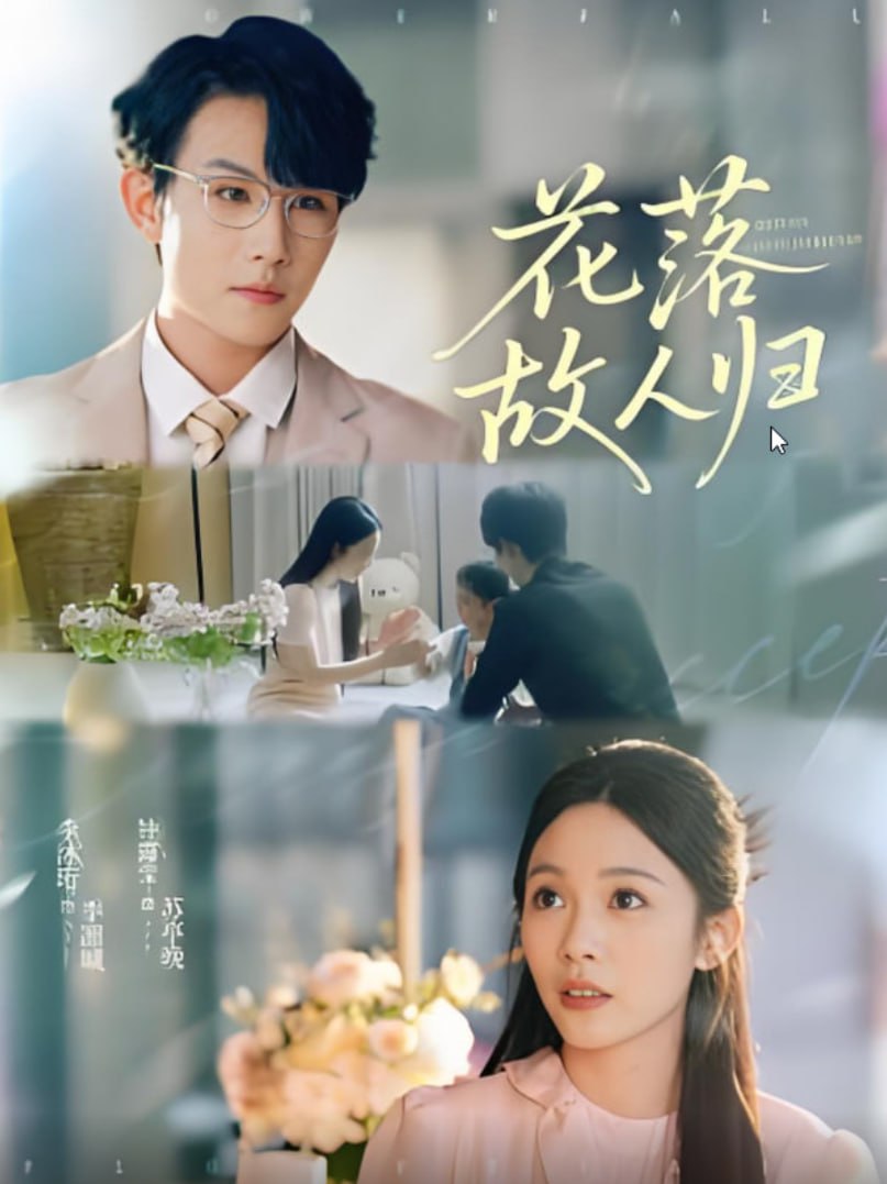 花落故人归封面图