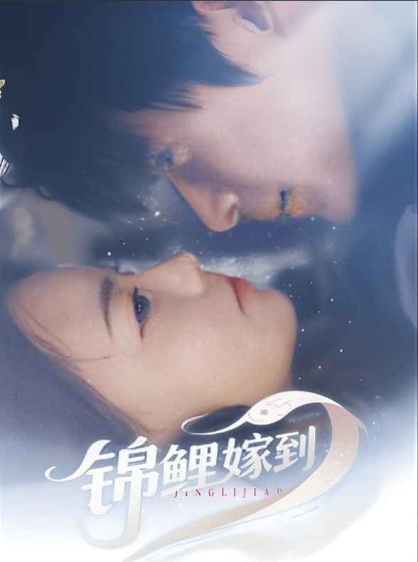 锦鲤嫁到封面图