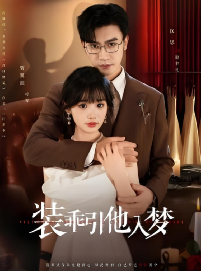 装乖引他入梦封面图