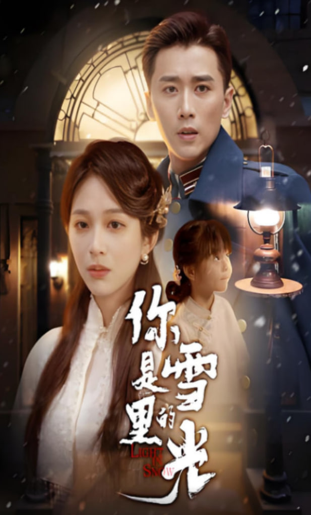 你是雪里的光封面图
