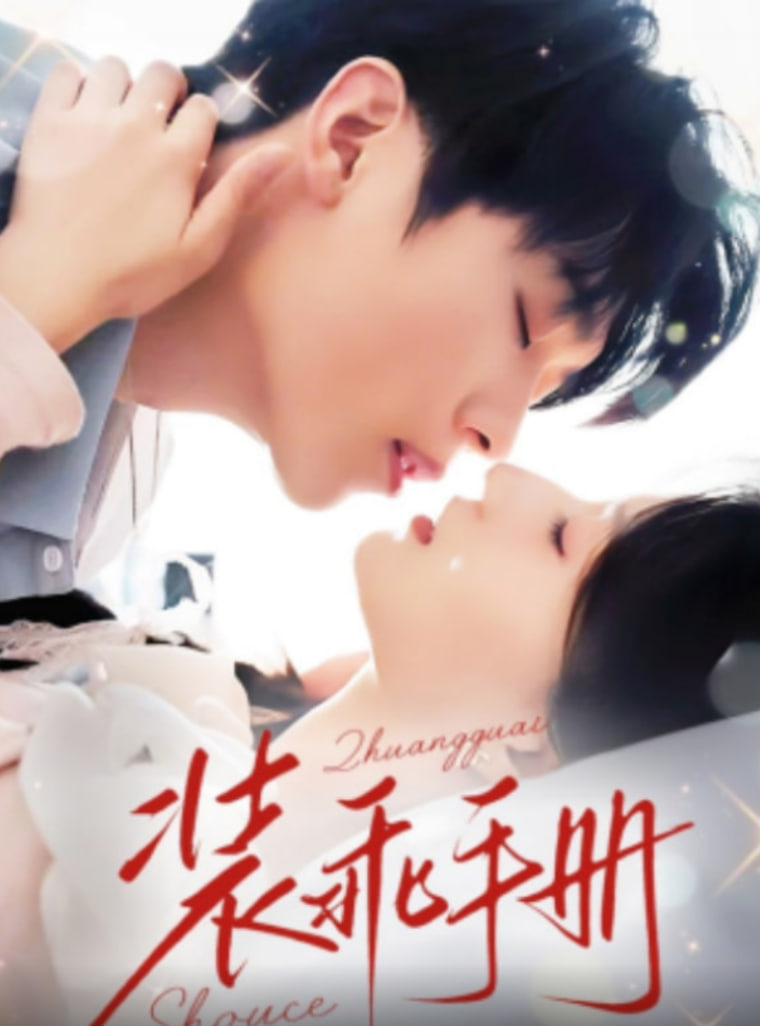 装乖手册封面图