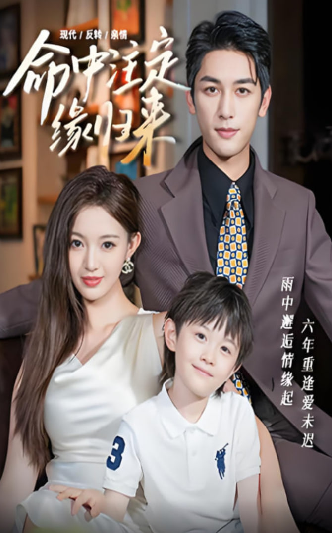 命中注定缘归来封面图