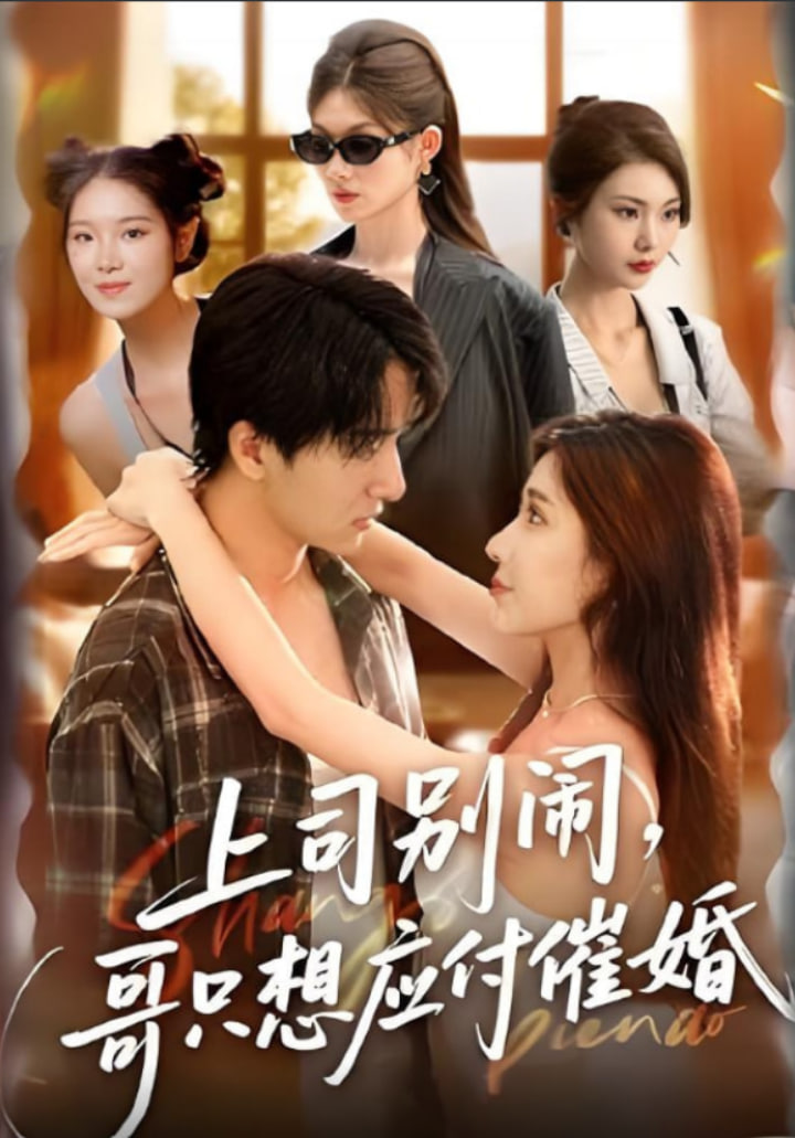 上司别闹哥只想应付催婚封面图