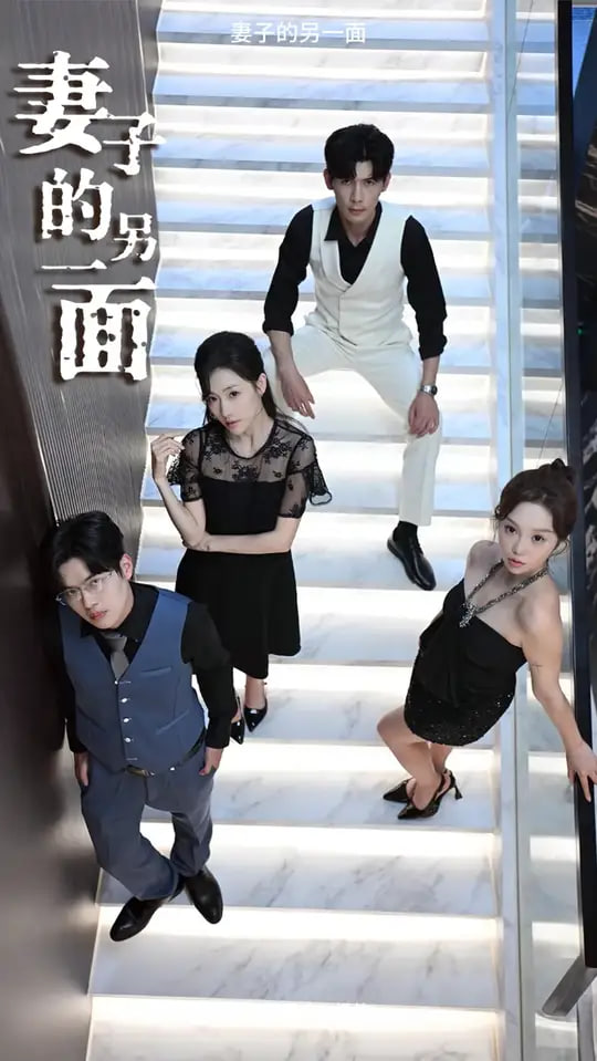 妻子的另一面封面图