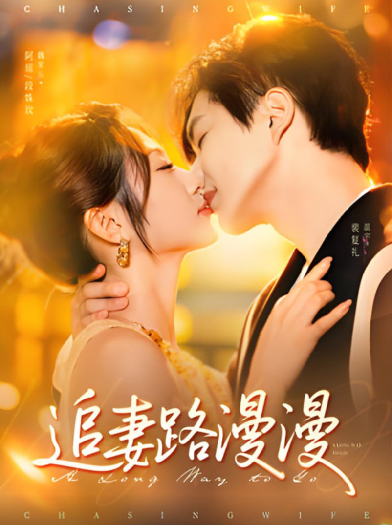 追妻路漫漫封面图