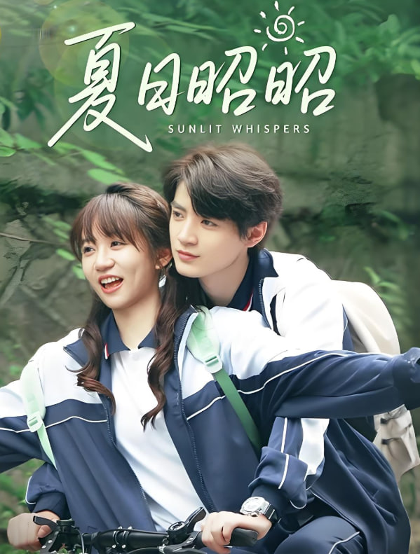 夏日昭昭封面图