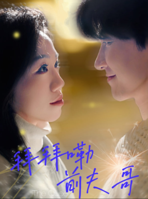 拜拜嘞前夫哥封面图