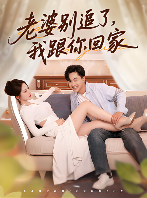 老婆别追了我跟你回家封面图