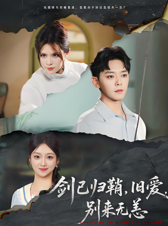 剑已归鞘旧爱别来无恙封面图
