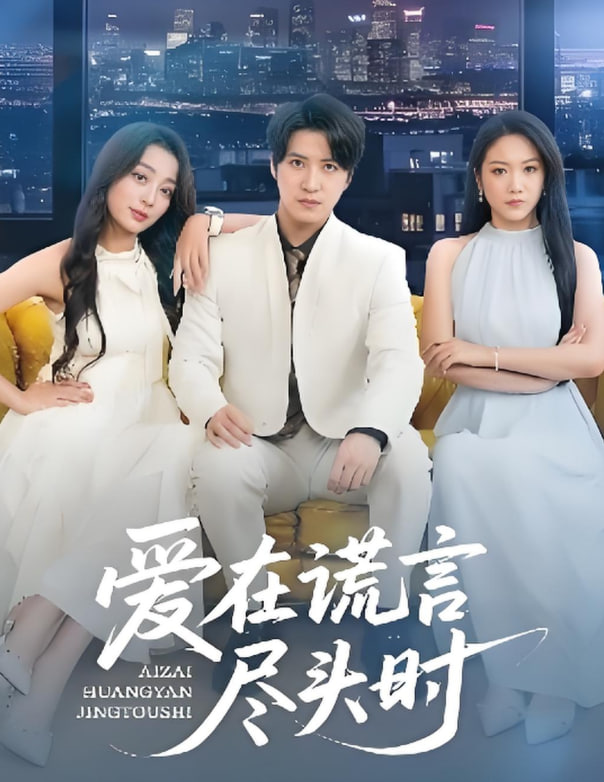 爱在谎言尽头时封面图