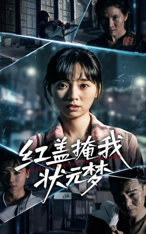 红盖掩我状元梦封面图