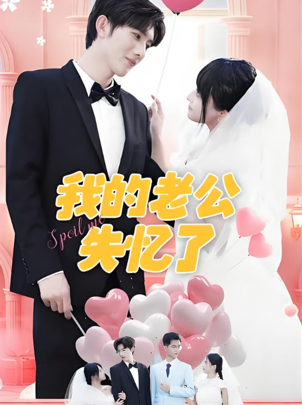 我的老公失忆了封面图