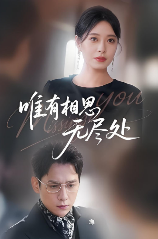 唯有相思无尽处封面图