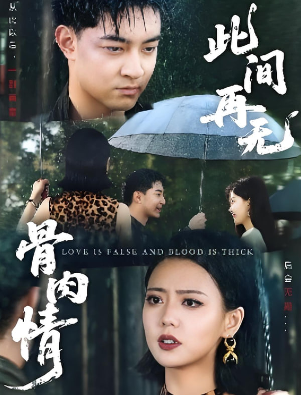 此间再无骨肉情封面图