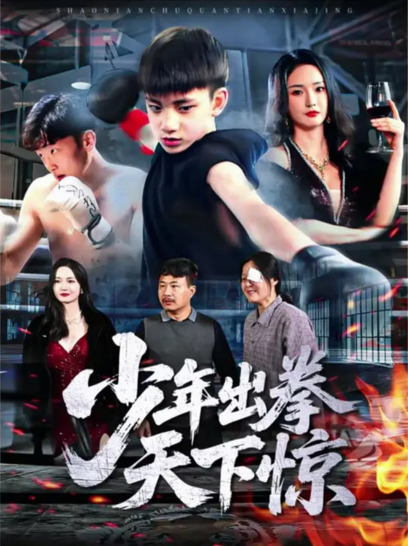 少年出拳天下惊封面图